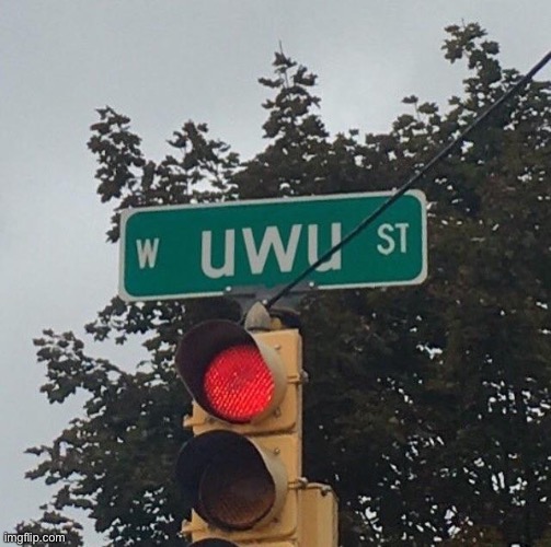 uwu street | image tagged in uwu street | made w/ Imgflip meme maker