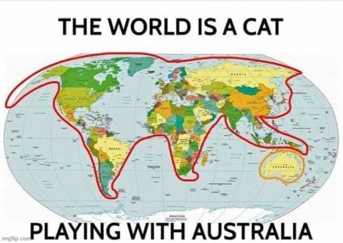 image tagged in cat memes,the world is a cat | made w/ Imgflip meme maker