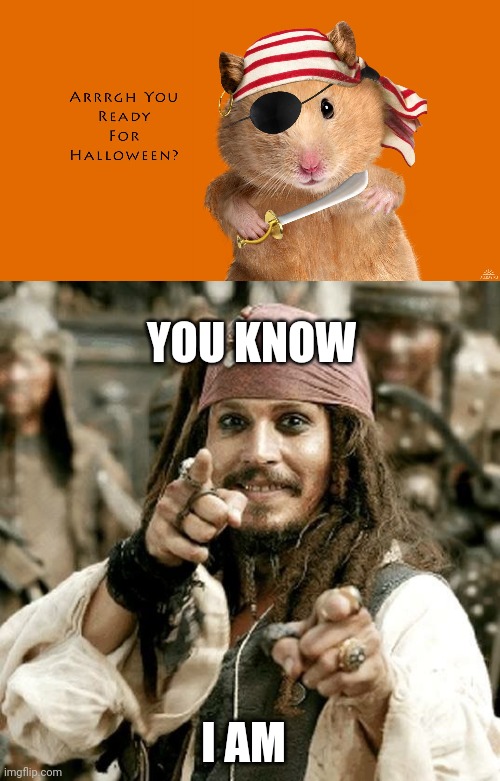 PIRATE HAMSTER | YOU KNOW; I AM | image tagged in point jack,pirate,pirates,jack sparrow,cute animals,halloween | made w/ Imgflip meme maker