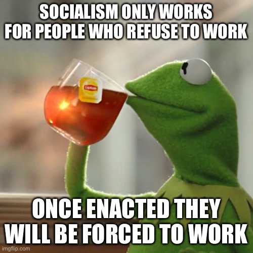 But That's None Of My Business Meme | SOCIALISM ONLY WORKS FOR PEOPLE WHO REFUSE TO WORK ONCE ENACTED THEY WILL BE FORCED TO WORK | image tagged in memes,but that's none of my business,kermit the frog | made w/ Imgflip meme maker