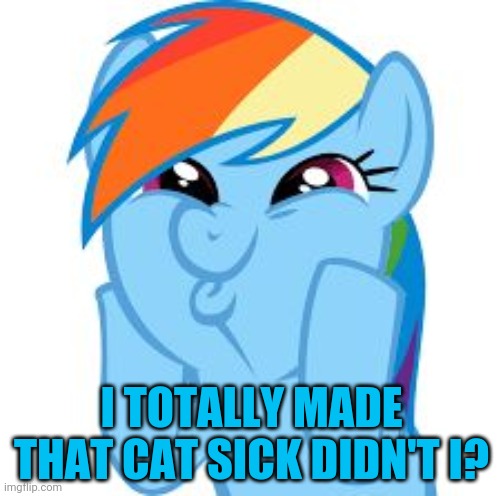 Rainbow Dash so awesome | I TOTALLY MADE THAT CAT SICK DIDN'T I? | image tagged in rainbow dash so awesome | made w/ Imgflip meme maker