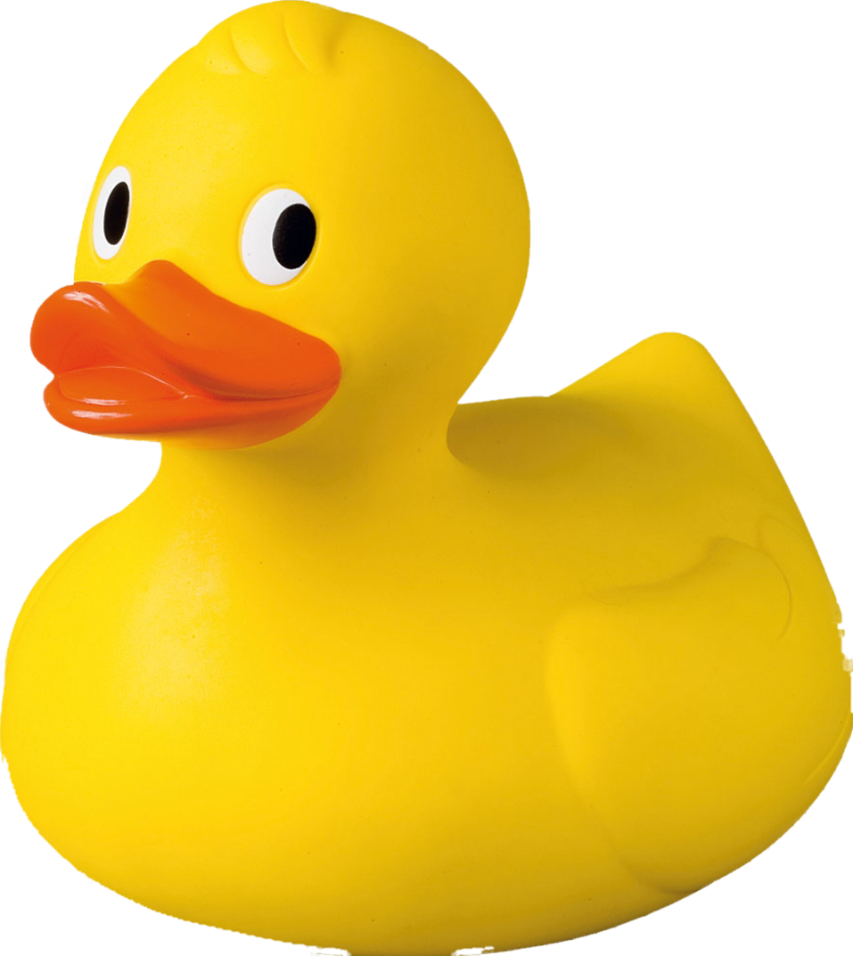 Rubber ducky transparent Blank Meme Template