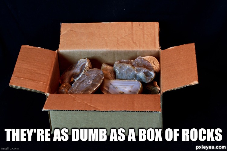 As dumb as a box of rocks. | THEY'RE AS DUMB AS A BOX OF ROCKS | image tagged in as dumb as a box of rocks | made w/ Imgflip meme maker