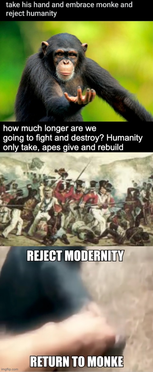 Stop this conquering and pillaging. We must revert and ascend back into nature | image tagged in embrace monke | made w/ Imgflip meme maker
