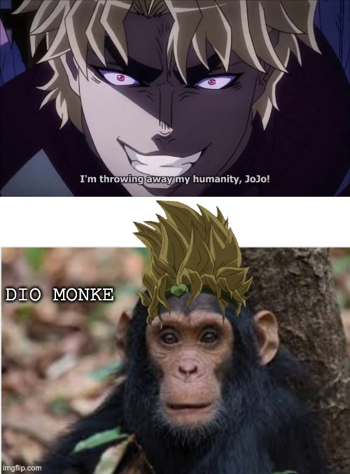 good job dio. he wants to save our world and live a simple life of monkey | DIO MONKE | image tagged in i reject my humanity jojo,embrace monke | made w/ Imgflip meme maker