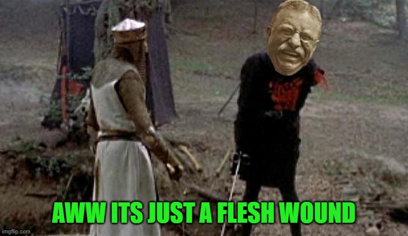 AWW ITS JUST A FLESH WOUND | made w/ Imgflip meme maker
