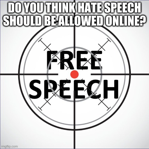 many people say that websites banning hate speech is censorship. what do you think? | DO YOU THINK HATE SPEECH SHOULD BE ALLOWED ONLINE? | image tagged in free speech,hate speech,internet | made w/ Imgflip meme maker