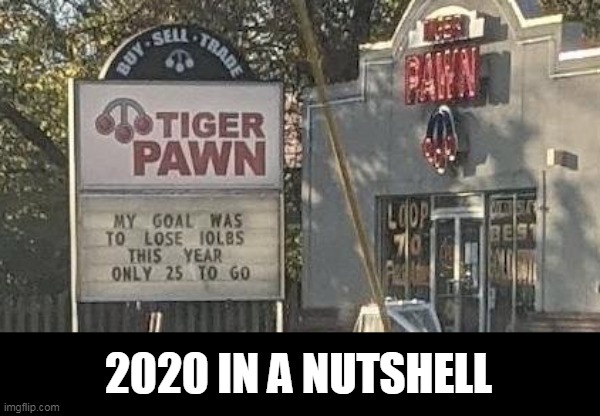 2020 | 2020 IN A NUTSHELL | image tagged in weight loss | made w/ Imgflip meme maker
