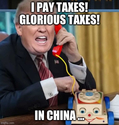 I'm the president | I PAY TAXES! GLORIOUS TAXES! IN CHINA ... | image tagged in i'm the president | made w/ Imgflip meme maker