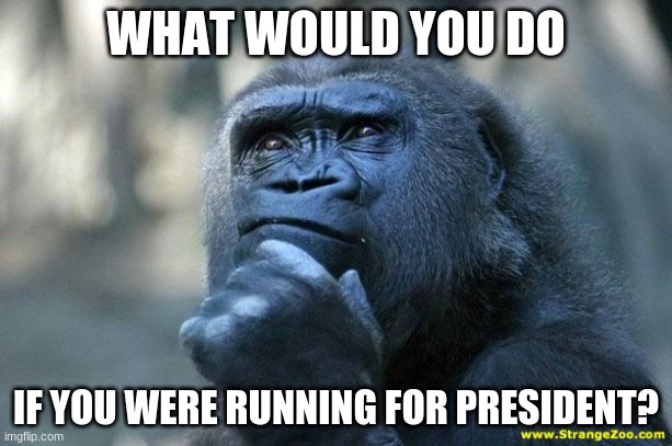 Hmmmmmm | WHAT WOULD YOU DO; IF YOU WERE RUNNING FOR PRESIDENT? | image tagged in deep thoughts | made w/ Imgflip meme maker