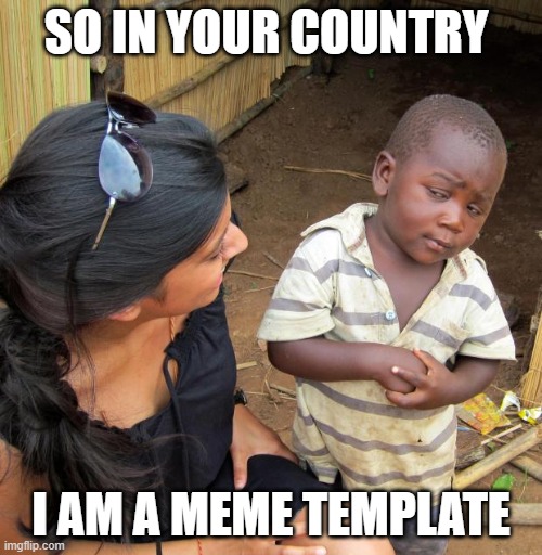 （⊙ｏ⊙） | SO IN YOUR COUNTRY; I AM A MEME TEMPLATE | image tagged in 3rd world sceptical child | made w/ Imgflip meme maker