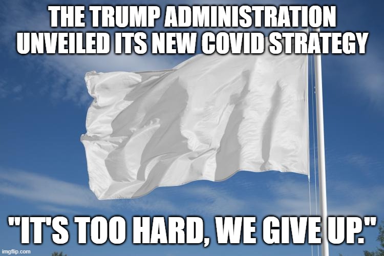 Trump gives up on COVID | THE TRUMP ADMINISTRATION UNVEILED ITS NEW COVID STRATEGY; "IT'S TOO HARD, WE GIVE UP." | image tagged in donald trump,covid | made w/ Imgflip meme maker