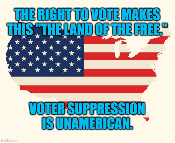 Please Vote. | THE RIGHT TO VOTE MAKES THIS "THE LAND OF THE FREE."; VOTER SUPPRESSION IS UNAMERICAN. | image tagged in politics | made w/ Imgflip meme maker