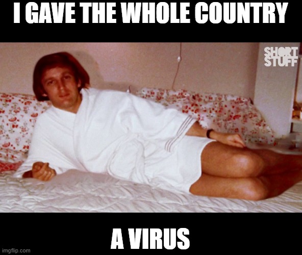 Typhoid Trump | I GAVE THE WHOLE COUNTRY; A VIRUS | image tagged in memes,politics,donald trump is an idiot,maga,coronavirus,corruption | made w/ Imgflip meme maker