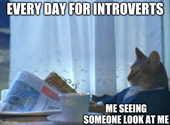 I Should Buy A Boat Cat Meme | EVERY DAY FOR INTROVERTS; ME SEEING SOMEONE LOOK AT ME | image tagged in memes,i should buy a boat cat | made w/ Imgflip meme maker