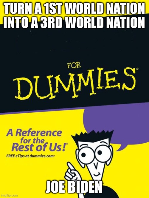 For dummies book | TURN A 1ST WORLD NATION INTO A 3RD WORLD NATION JOE BIDEN | image tagged in for dummies book | made w/ Imgflip meme maker