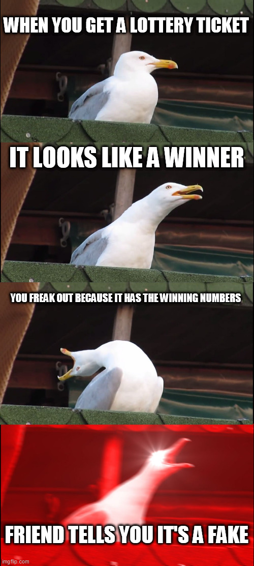 lottery ticket | WHEN YOU GET A LOTTERY TICKET; IT LOOKS LIKE A WINNER; YOU FREAK OUT BECAUSE IT HAS THE WINNING NUMBERS; FRIEND TELLS YOU IT'S A FAKE | image tagged in memes,inhaling seagull | made w/ Imgflip meme maker