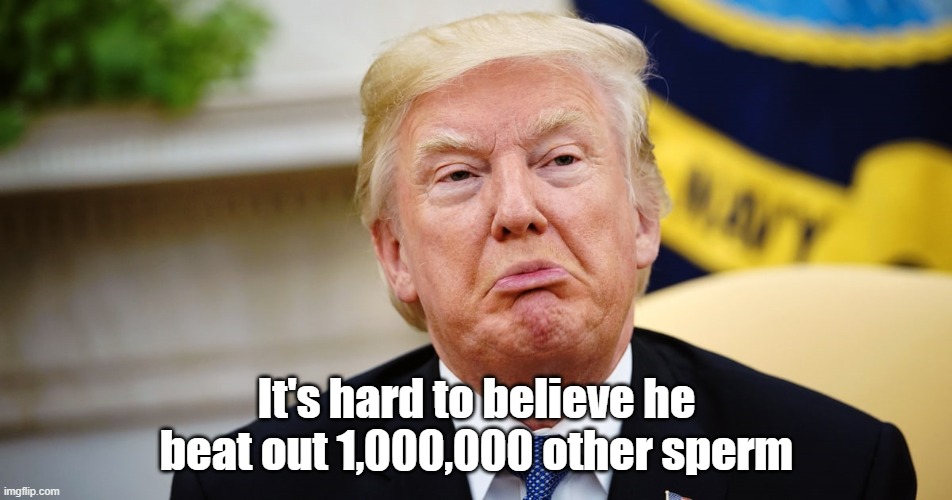 one million of them | It's hard to believe he beat out 1,000,000 other sperm | image tagged in donald trump | made w/ Imgflip meme maker