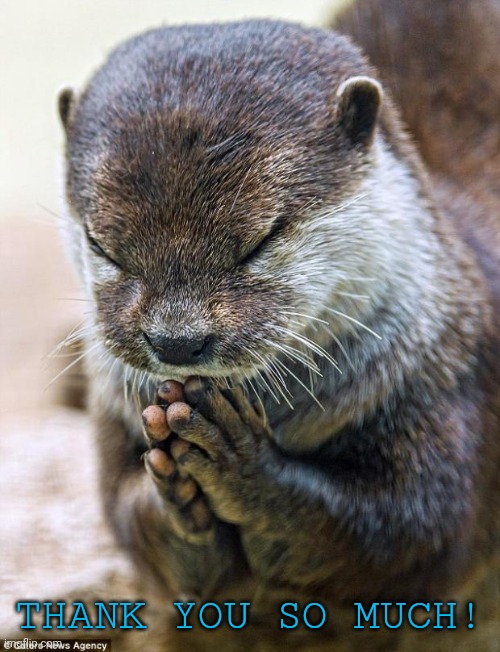 Thank you Lord Otter | THANK YOU SO MUCH! | image tagged in thank you lord otter | made w/ Imgflip meme maker