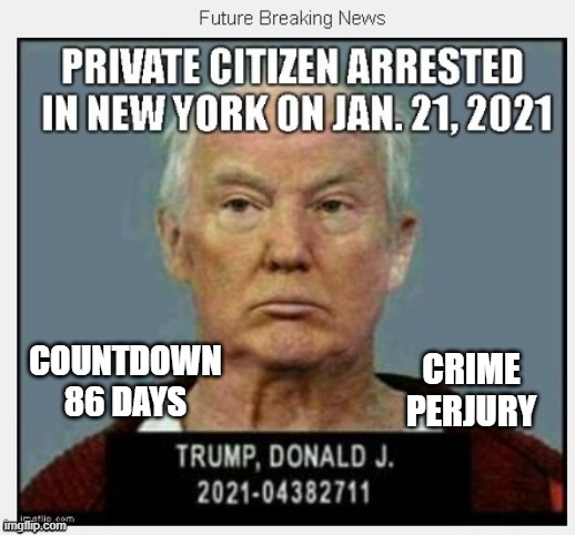 86 Days Until January 21, 2021 - COUNTDOWN In Progress - 100 Days Listing 100 Trump Crimes | CRIME
PERJURY; COUNTDOWN
86 DAYS | image tagged in countdown,traitor,conman,liar,tax cheat,russian mafia | made w/ Imgflip meme maker