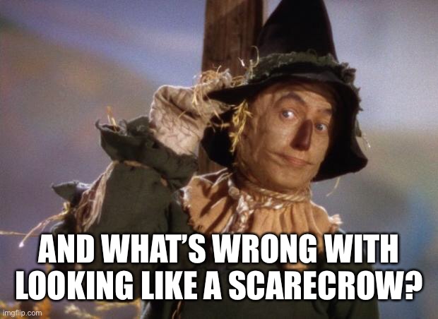 Scarecrow | AND WHAT’S WRONG WITH LOOKING LIKE A SCARECROW? | image tagged in scarecrow | made w/ Imgflip meme maker