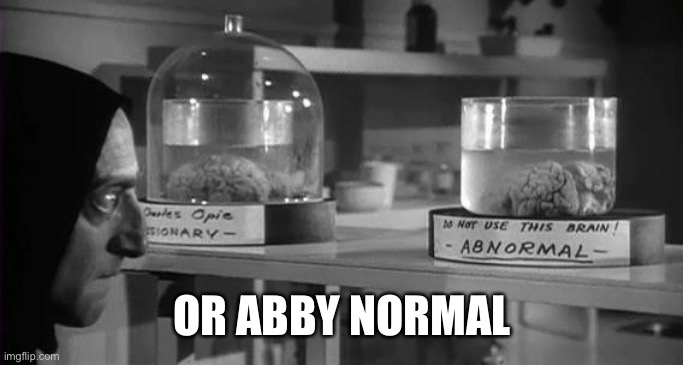Abby Normal Brain | OR ABBY NORMAL | image tagged in abby normal brain | made w/ Imgflip meme maker