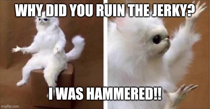 White monkey | WHY DID YOU RUIN THE JERKY? I WAS HAMMERED!! | image tagged in white monkey | made w/ Imgflip meme maker