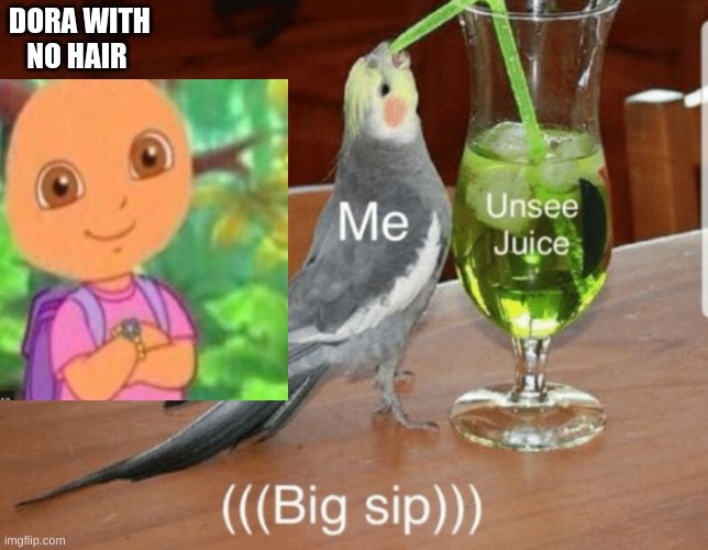 Unsee juice | DORA WITH NO HAIR | image tagged in unsee juice | made w/ Imgflip meme maker