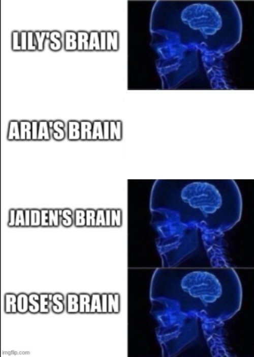 Aria has no brain | image tagged in le faiths | made w/ Imgflip meme maker