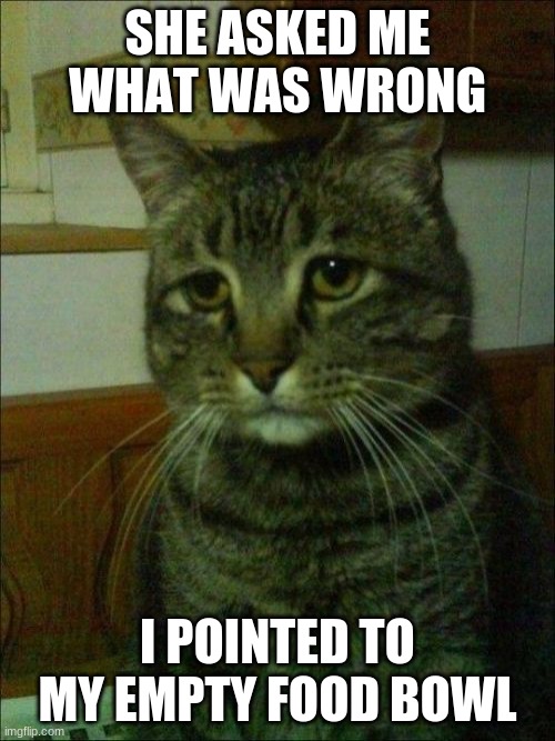 Depressed Cat | SHE ASKED ME WHAT WAS WRONG; I POINTED TO MY EMPTY FOOD BOWL | image tagged in memes,depressed cat | made w/ Imgflip meme maker