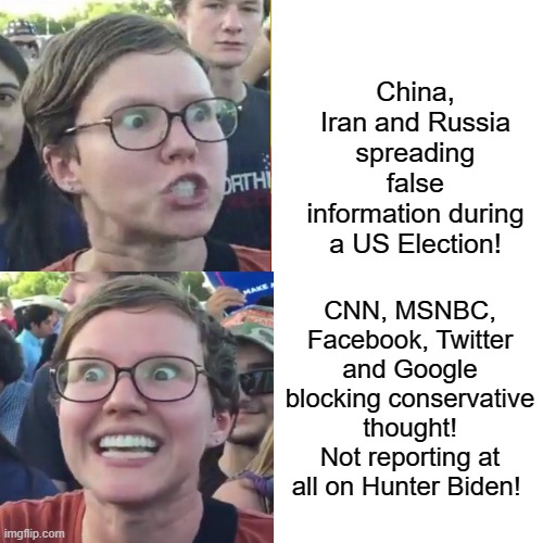 Liberal Hypocrite! | China, Iran and Russia spreading false information during a US Election! CNN, MSNBC, Facebook, Twitter and Google blocking conservative thought! Not reporting at all on Hunter Biden! | image tagged in stupid liberals,biden | made w/ Imgflip meme maker