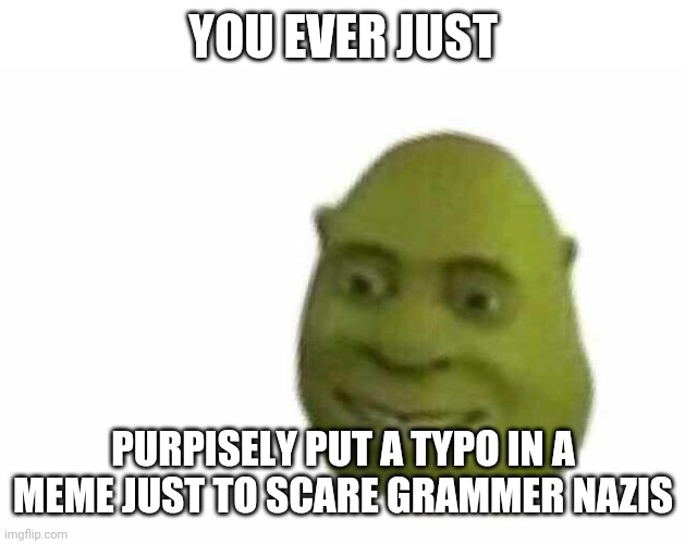 You ever just | YOU EVER JUST; PURPISELY PUT A TYPO IN A MEME JUST TO SCARE GRAMMER NAZIS | image tagged in you ever just | made w/ Imgflip meme maker