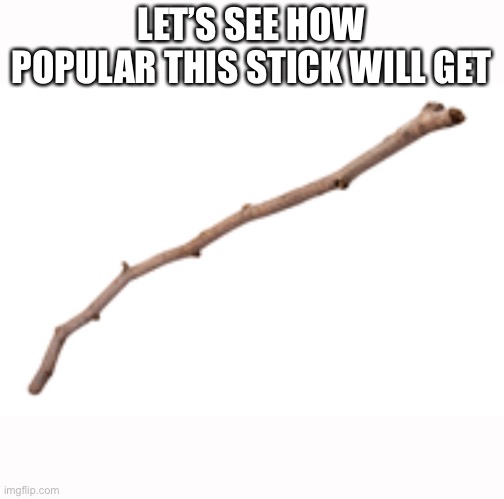 Popular Stick? | LET’S SEE HOW
POPULAR THIS STICK WILL GET | image tagged in stick | made w/ Imgflip meme maker