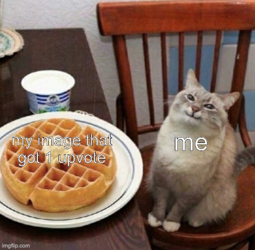 it's important to be proud of your own work | my image that got 1 upvote; me | image tagged in cat likes their waffle | made w/ Imgflip meme maker