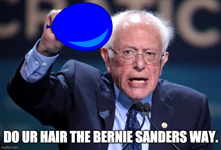 the truth u have 2 admit | DO UR HAIR THE BERNIE SANDERS WAY. | image tagged in bernie sanders,bernie | made w/ Imgflip meme maker