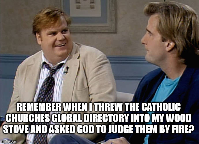 Remember that time | REMEMBER WHEN I THREW THE CATHOLIC CHURCHES GLOBAL DIRECTORY INTO MY WOOD STOVE AND ASKED GOD TO JUDGE THEM BY FIRE? | image tagged in remember that time | made w/ Imgflip meme maker