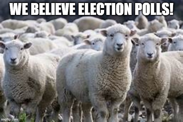 WE BELIEVE ELECTION POLLS! | image tagged in election 2020,polls,cnn fake news,republicans,democrats | made w/ Imgflip meme maker