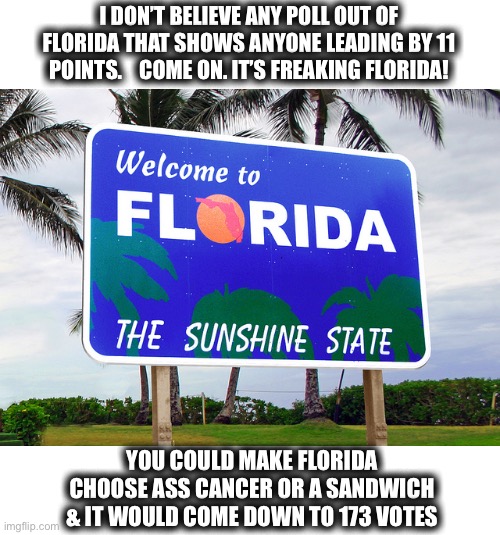 I wonder what kind of sandwich? | I DON’T BELIEVE ANY POLL OUT OF FLORIDA THAT SHOWS ANYONE LEADING BY 11 POINTS.    COME ON. IT’S FREAKING FLORIDA! YOU COULD MAKE FLORIDA CHOOSE ASS CANCER OR A SANDWICH & IT WOULD COME DOWN TO 173 VOTES | image tagged in florida,polls,leading,idiots,cancer,sandwich | made w/ Imgflip meme maker