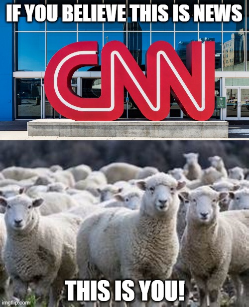 IF YOU BELIEVE THIS IS NEWS; THIS IS YOU! | image tagged in cnn fake news,cnn sucks,election 2020,democrats,republicans,cnn | made w/ Imgflip meme maker