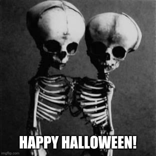 Happy Halloween Twin Skeletons | HAPPY HALLOWEEN! | image tagged in halloween,skeleton | made w/ Imgflip meme maker