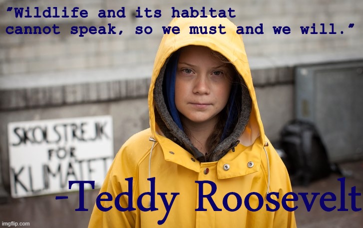 eyyyy Teddy was a swell "ecofascist" wasn't he | "Wildlife and its habitat cannot speak, so we must and we will."; -Teddy Roosevelt | image tagged in greta thunberg,ecofascist greta thunberg,environment,teddy roosevelt,climate change,global warming | made w/ Imgflip meme maker