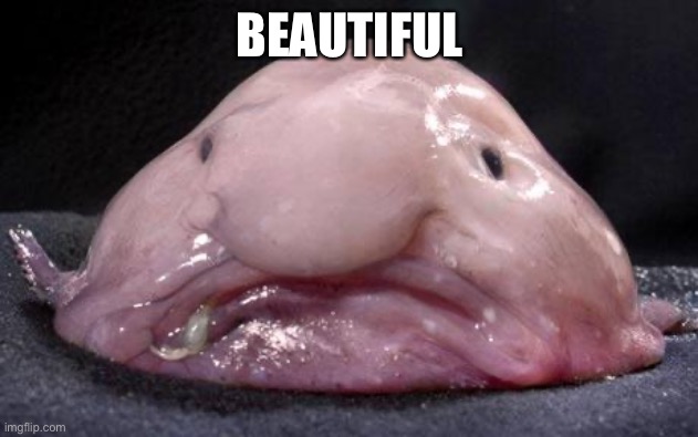 Blobfish | BEAUTIFUL | image tagged in blobfish | made w/ Imgflip meme maker