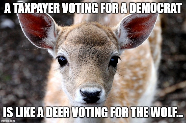 deer voting | A TAXPAYER VOTING FOR A DEMOCRAT; IS LIKE A DEER VOTING FOR THE WOLF... | image tagged in taxes | made w/ Imgflip meme maker