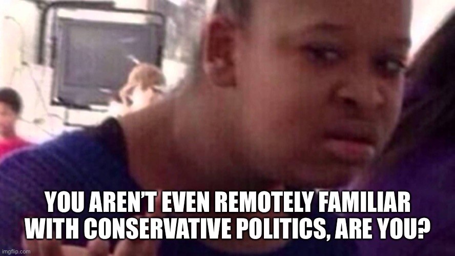 YOU AREN’T EVEN REMOTELY FAMILIAR WITH CONSERVATIVE POLITICS, ARE YOU? | image tagged in wtf girl face | made w/ Imgflip meme maker