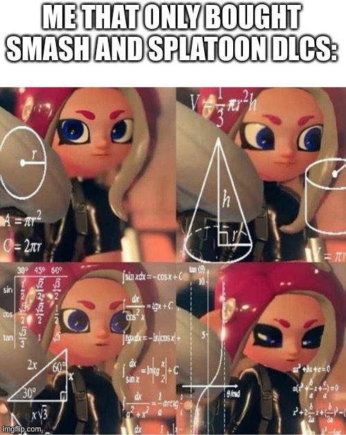 Veemo | ME THAT ONLY BOUGHT SMASH AND SPLATOON DLCS: | image tagged in veemo | made w/ Imgflip meme maker