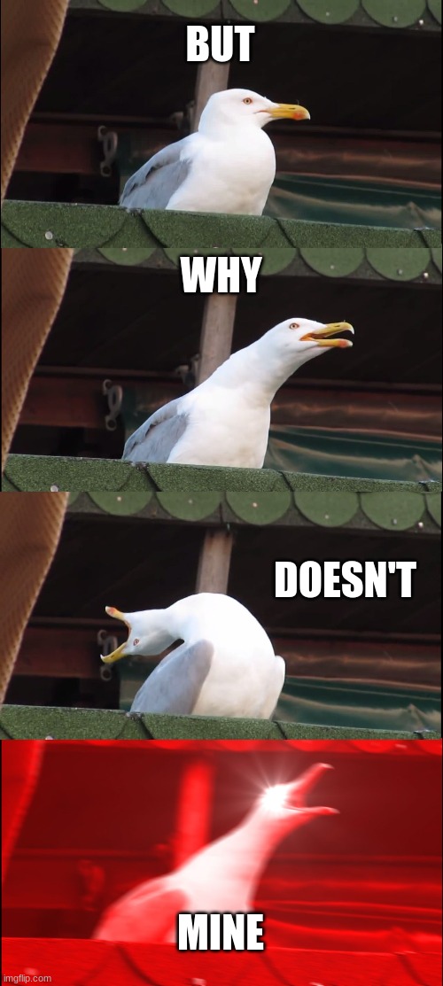 Inhaling Seagull Meme | BUT WHY DOESN'T MINE | image tagged in memes,inhaling seagull | made w/ Imgflip meme maker