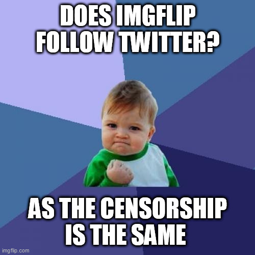 Success Kid Meme | DOES IMGFLIP FOLLOW TWITTER? AS THE CENSORSHIP IS THE SAME | image tagged in memes,success kid | made w/ Imgflip meme maker