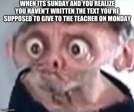 Noice | WHEN ITS SUNDAY AND YOU REALIZE YOU HAVEN'T WRITTEN THE TEXT YOU'RE SUPPOSED TO GIVE TO THE TEACHER ON MONDAY | image tagged in memes | made w/ Imgflip meme maker