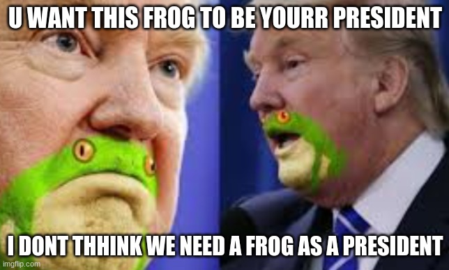 U WANT THIS FROG TO BE YOURR PRESIDENT; I DONT THHINK WE NEED A FROG AS A PRESIDENT | image tagged in funny memes | made w/ Imgflip meme maker