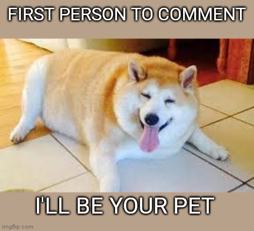 D o g g o | FIRST PERSON TO COMMENT; I'LL BE YOUR PET | image tagged in doggo | made w/ Imgflip meme maker